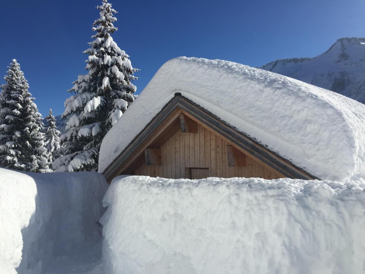 Feriendorf Walserland Damuels Dış mekan fotoğraf