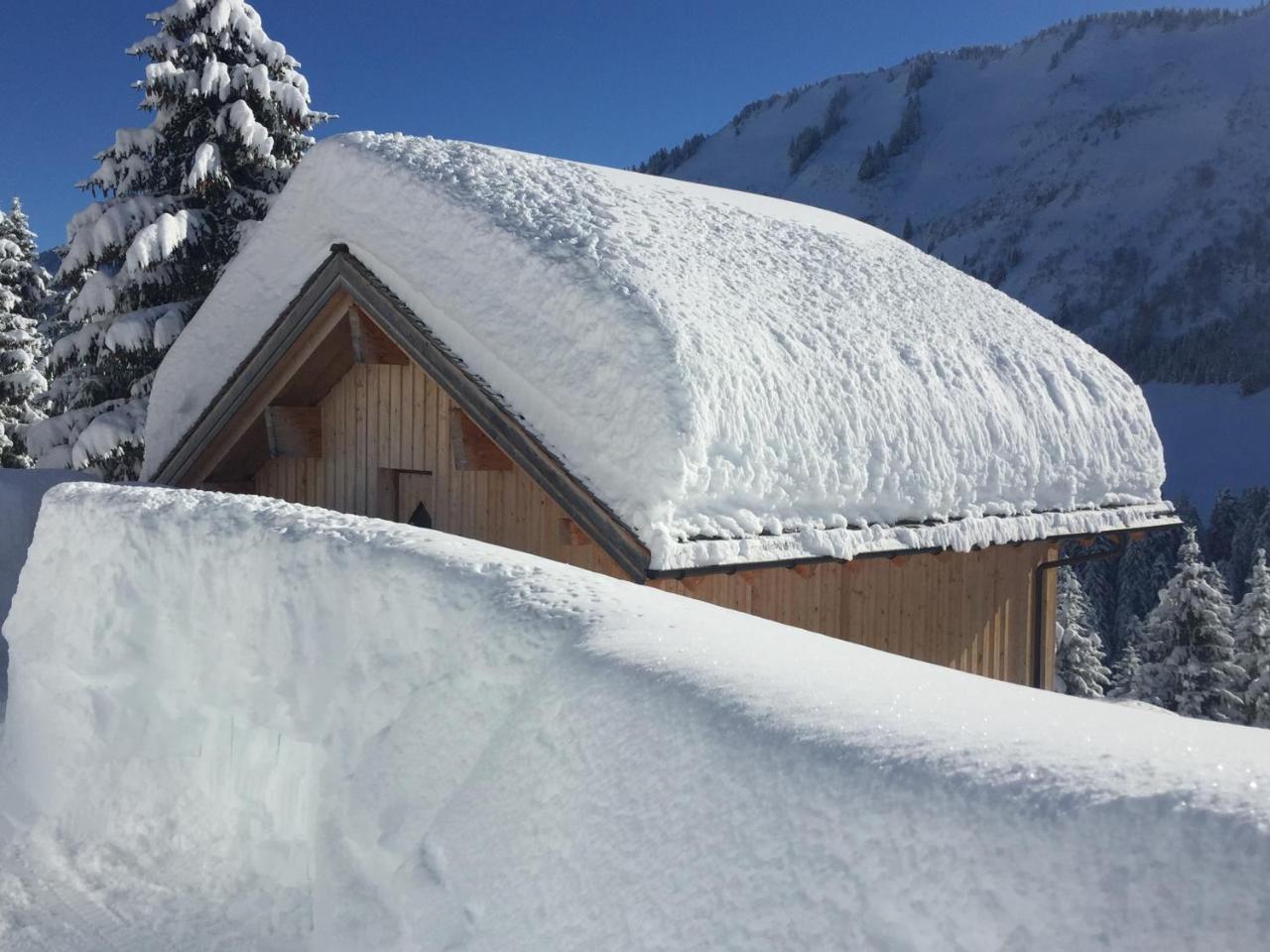 Feriendorf Walserland Damuels Dış mekan fotoğraf